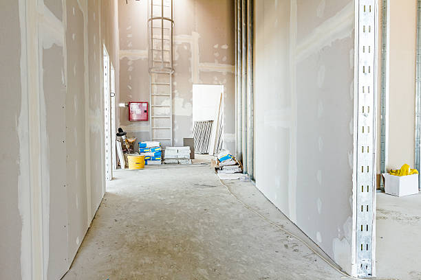 Best Residential Mold Inspection & Testing  in Rock Hill, NY